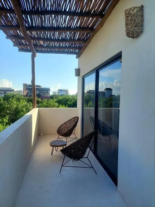 Brand New Luxury Villa. 150 Meters From The Beach. Isla Holbox 0*,  Mexico