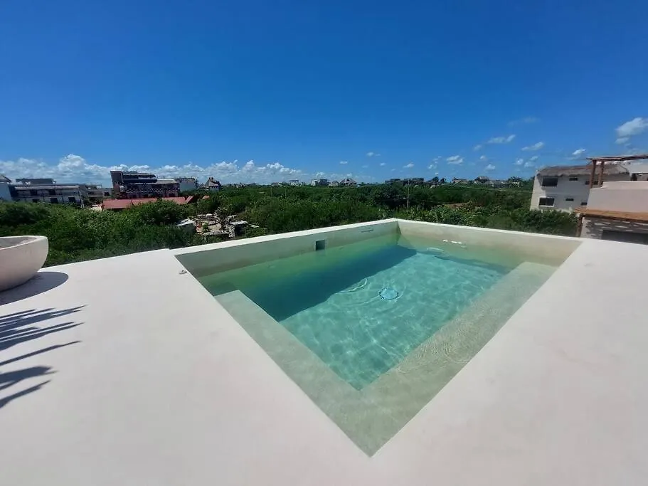 Brand New Luxury Villa. 150 Meters From The Beach. Isla Holbox 0*,