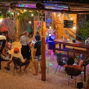 Mapache & Guest house